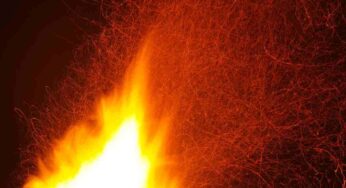 Incendio sugli spalti: sospesa la partita di campionato